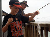 Tom in Clearwater Florida